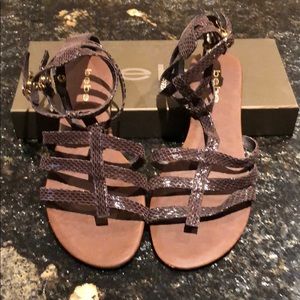 Bebe chocolate brown reptile gladiator sandals.